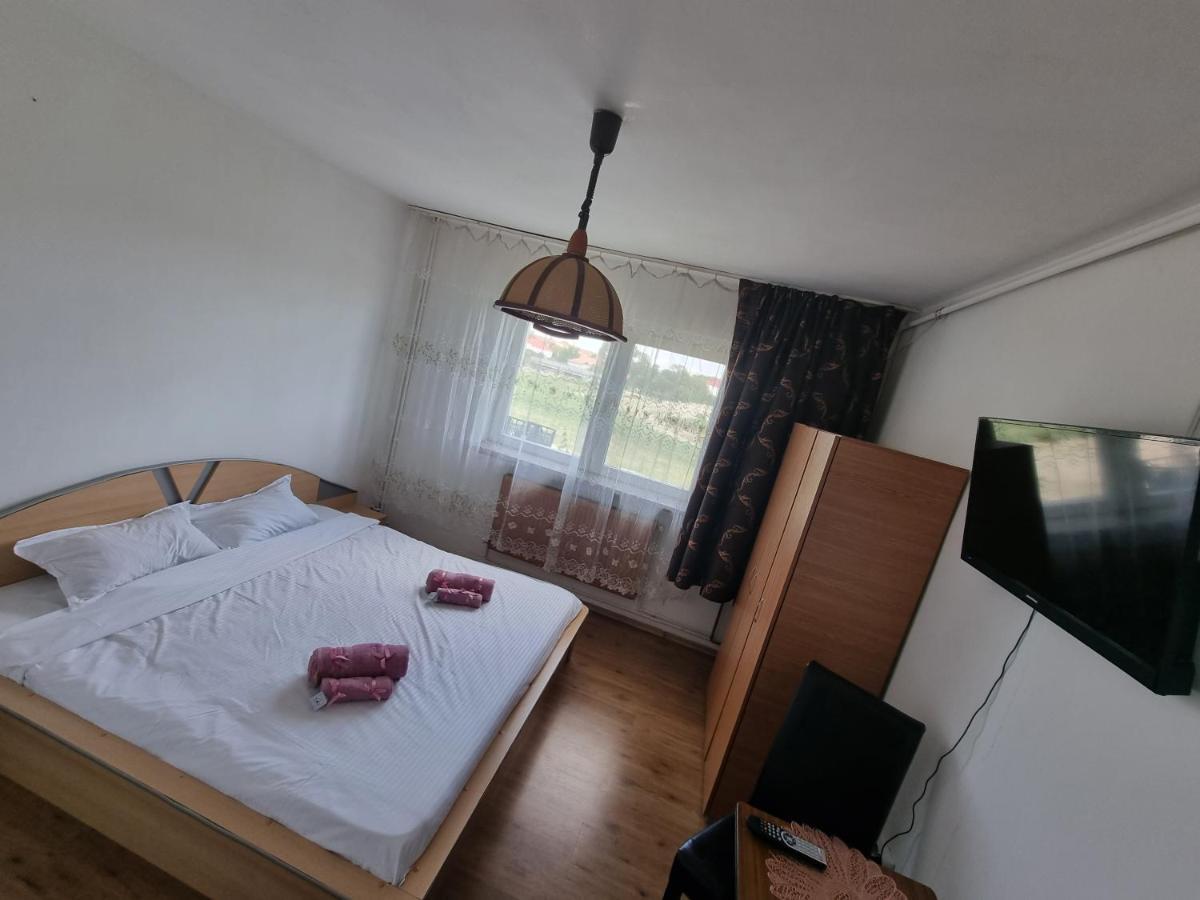 Golden Studio Apartment Sibiu Ngoại thất bức ảnh